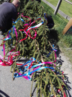 Maibaum aufstellen 2018